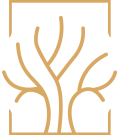 CompFidusSolutions_LogoWeb_TreeWhite