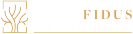 CompFidus Consulting
